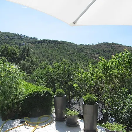 Virgin Apartman Spotorno